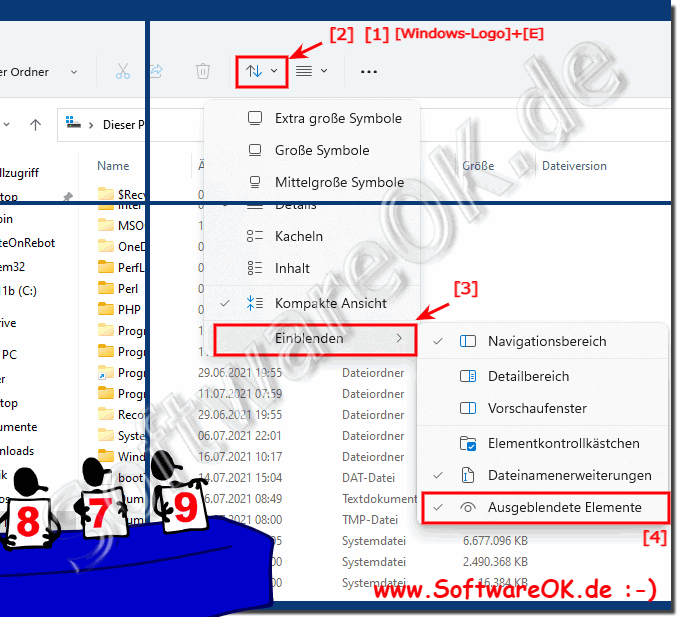 Versteckte Dateien im Windows 11-Datei-Explorer anzeigen!