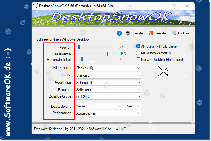 Windows 11 Desktop Schnee Optionen!