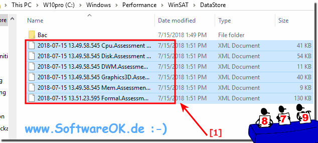 Leistungsindex Ordner Bereinigen oder Backup!