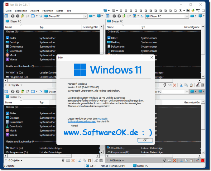 Quad Explorer Q-Dir auf Windows 11!