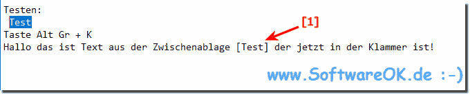 Wie funktioniert Paste Text ohne HTML in QuickTextPaste!