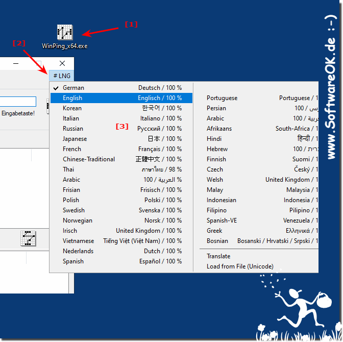 Das Windows Ping Tool ist in falscher Sprache!