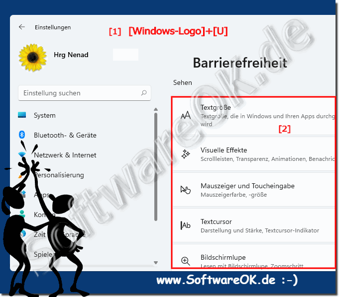 Barrierefreiheit unter Windows 11!