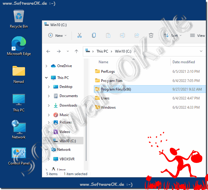 Der Programme (x86) Ordner bei Windows 11!