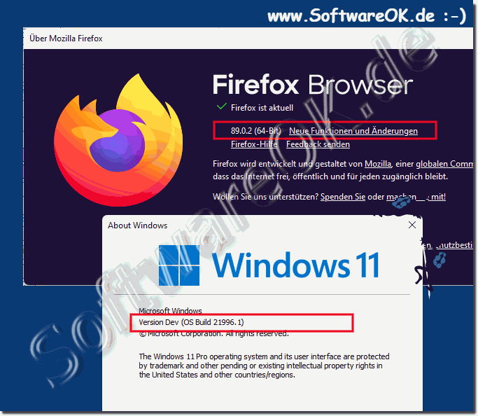 FireFox auf Windows 11!
