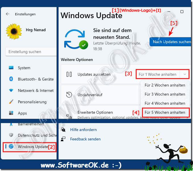 Windows 11 Auto-Updates für 5 Wochen deaktivieren!