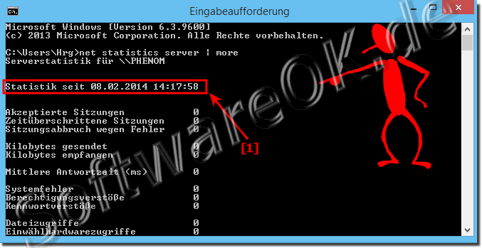 ber NET Statistik am Windows-8.1 Rechner!