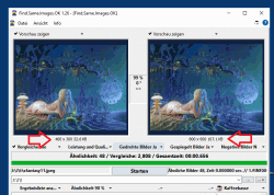 Schnell gleiche oder hnliche Bilder finden.