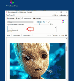 PhotoResizerOK 3 Mit Wasserzeichen die Bilder schuetzen  