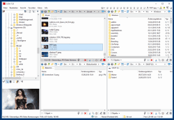 Quad Explorer fr Windows Betriebssysteme