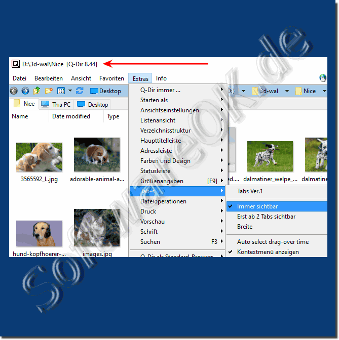 Download Kostenlosen Alternativen Explorer für Windows!