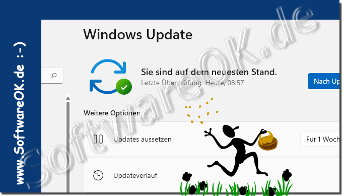 Ist mein Windows 11 Update OK!