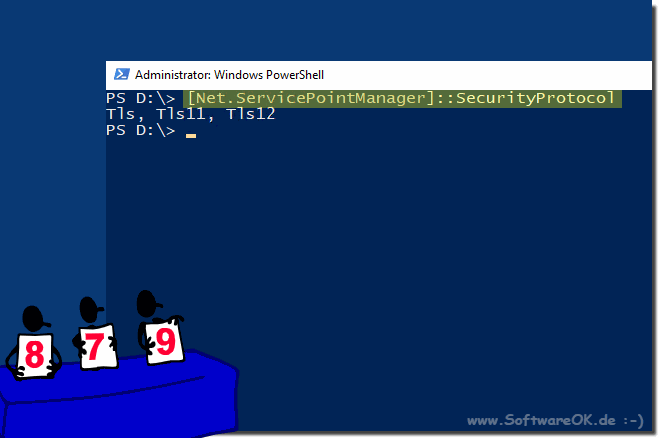 Windows Server TLS abfragen Beispiel!