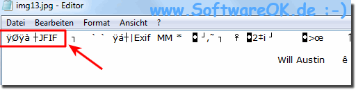 Dateityp im Datei-Header erkennen!