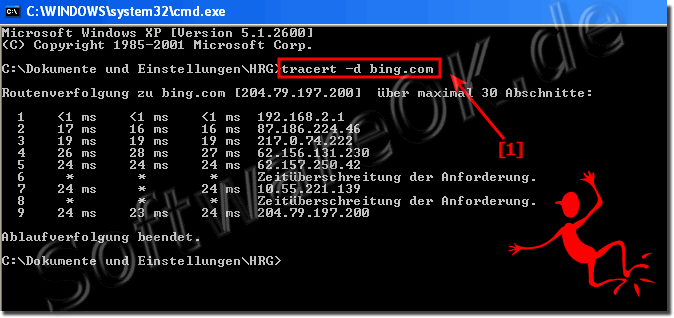 tracert.exe unter Windows zu bing.com!