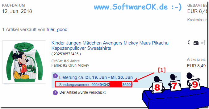  Gekaufte Artikel - Sendungsnummer und Versandstatus bei ebay.de
