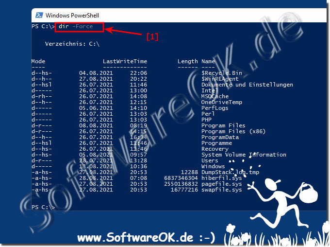 Versteckte Dateien Auflisten mit PowerShell!